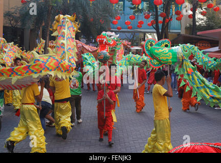 Pasay, Filippine. Il giorno 08 Febbraio, 2016. Dragon dancer eseguire una routine di danza in un centro commerciale di Pasay City. Persone celebrano il nuovo anno, l'inizio dell'Anno della Scimmia di fuoco, a Manila Chinatown con il tradizionale drago e la danza del Leone, in visita a Templi e mangiare piatti Cinesi e prelibatezze in diversi ristoranti autentici. © Marlo Cueto/Pacific Press/Alamy Live News Foto Stock