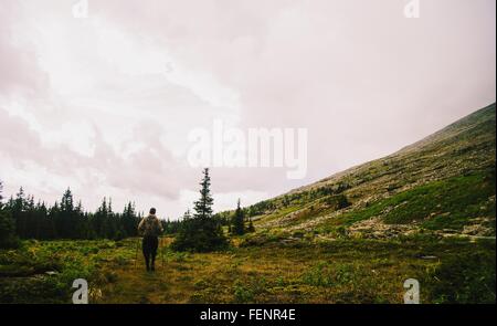 Vista posteriore dell'uomo escursionismo da soli nel panorama della valle, monti Urali, Russia Foto Stock