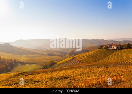 Vista del paesaggio con vigneti di autunno e borgo collinare, Langhe, Piemonte, Italia