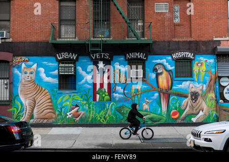 Urban veterinari Animal Hospital, East Village, NYC Foto Stock