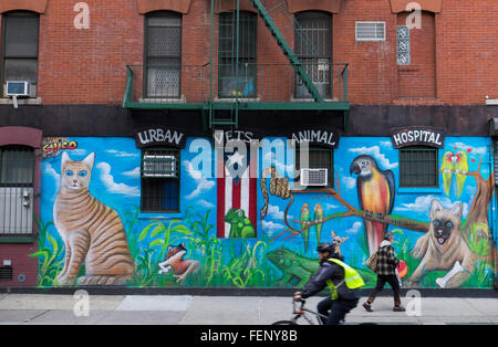 Urban veterinari Animal Hospital, East Village, NYC Foto Stock