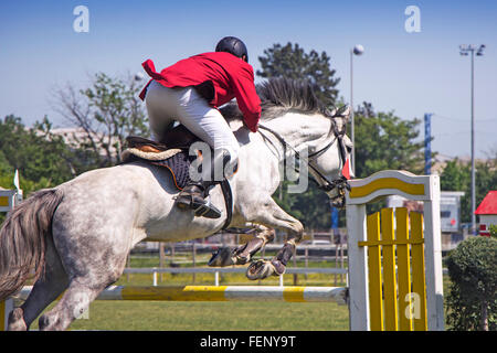 Rider di saltare sul cavallo competere nel torneo equestre Foto Stock