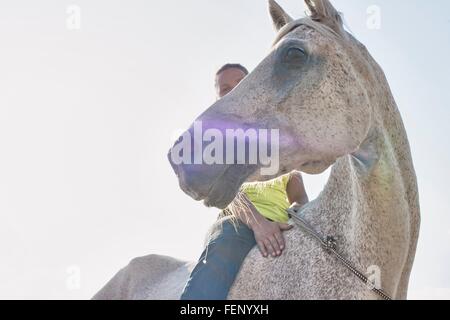 Basso angolo di visione della donna di equitazione cavallo grigio bareback Foto Stock