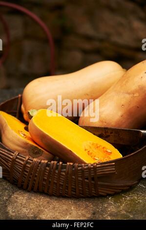 Angolo di alta vista dimezzato e tutta la zucca nel cestello dello stoppino Foto Stock