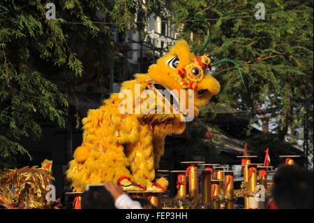 Phnom Penh Cambogia. 8 febbraio, 2016. Phnom Penh celebra "Anno della Scimmia' w/ Leone tradizionali balli durante il Capodanno cinese Credito: Kraig Lieb / Alamy Live News Foto Stock