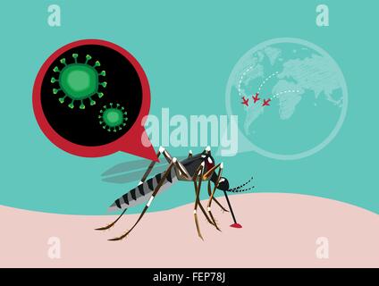 Zika febbre virus trasmesso da A.aegypti mosquito ed è legata a causare microcefalia infettati su donne in stato di gravidanza per la maggior parte in B Illustrazione Vettoriale