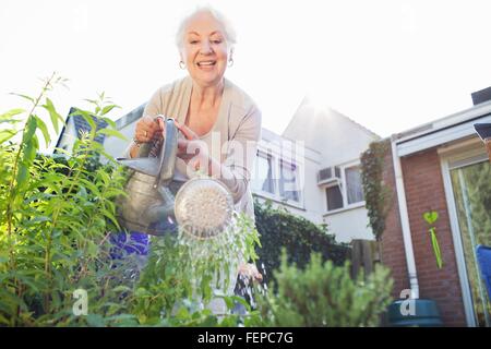 Senior donna in giardino, impianti di irrigazione Foto Stock