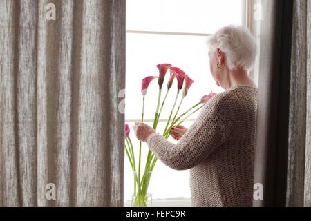 Senior donna disponendo dei fiori in vaso, vista posteriore Foto Stock