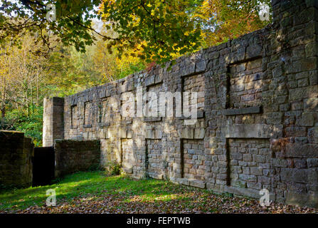 Muro di pietra Lumsdale vicino a Matlock nel Derbyshire Peak District Inghilterra nel Regno Unito dove i primi edifici industriali sono stati alimentati da acqua Foto Stock