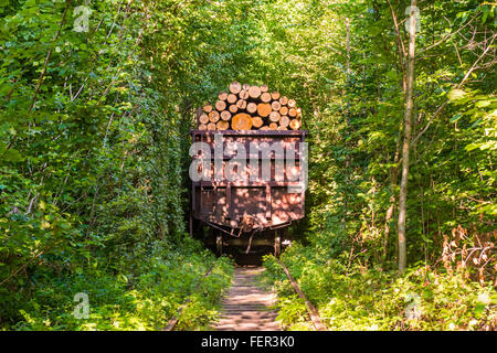 Treno merci che trasportano il legname passa attraverso un tunnel naturale chiamato 'Tunnel d'amore" in Klevan, Rovno Regione, Ucraina Foto Stock