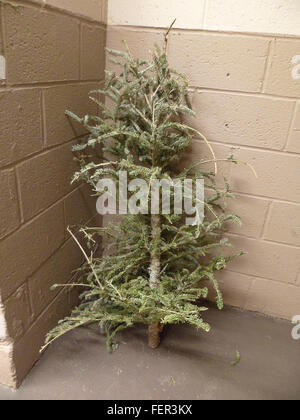 Un povero, solitario, scartato albero di Natale è visto nel cestino area di un edificio di appartamenti a New York il Mercoledì 3 febbraio, 2016. (© Richard B. Levine) Foto Stock