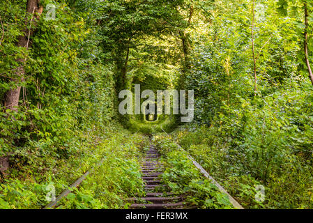 Una naturale galleria ferroviaria chiamato 'Tunnel dell'Amore' formato nella foresta accanto a Klevan, Rovno Regione, Ucraina Foto Stock