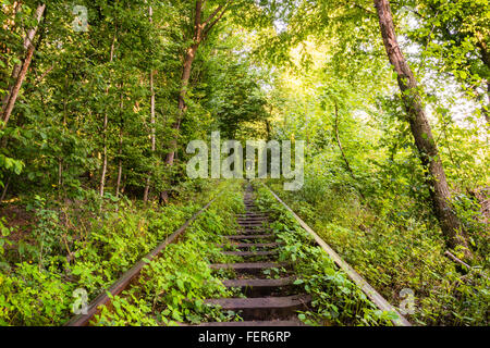 Una naturale galleria ferroviaria chiamato 'Tunnel dell'Amore' formato nella foresta accanto a Klevan, Rovno Regione, Ucraina Foto Stock