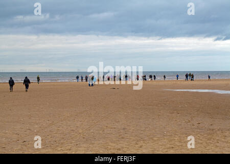 Capodoglio (Physeter macrocephalus) . Litorale, corpo 14 metro lungo spiaggiata animale, Hunstanton, North Norfolk, la folla di visualizzazione. Foto Stock