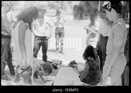 La preparazione di picket segni a Walgett, Febbraio 1965 / La Tribuna Preparazione picket segni a Walgett, febbraio 1965 La Tribuna Foto Stock