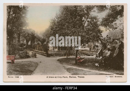 Questa vera cartolina fotografica (RPPC) dell'inizio del XX secolo cattura una vista del parco cittadino di Dallas, Texas, mostrando il paesaggio del parco e le caratteristiche degli spazi pubblici. Foto Stock