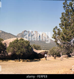 Sawtooth Mountain, situata nel Davis Mountains State Park, Texas, è un picco importante della regione, noto per il suo terreno accidentato e la sua incredibile bellezza naturale. La montagna offre ai visitatori l'opportunità di fare escursioni e di esplorare il paesaggio circostante delle Davis Mountains. Foto Stock