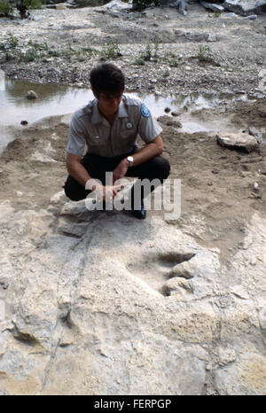 Fotografia delle tracce di dinosauro trovate a Glen Rose, Texas, che forniscono prove della vita preistorica e del significato paleontologico. Foto Stock