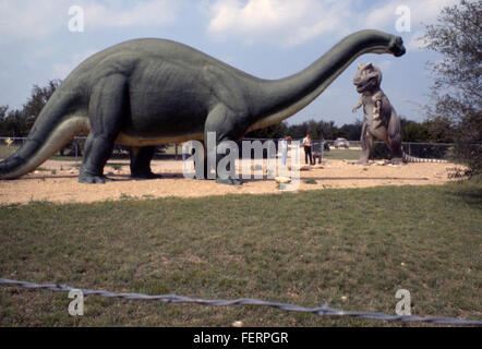 Il dinosauro Glen Rose si riferisce alle impronte di dinosauro trovate a Glen Rose, Texas. Questi fossili preistorici sono significativi per comprendere l'antica fauna selvatica della regione e l'età dei dinosauri. Foto Stock