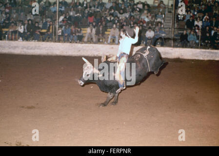 Il termine "cowboy” si riferisce a allevatori qualificati, in particolare quelli dell'Occidente americano. Sono fondamentali per la storia e la cultura occidentali, con un'eredità legata all'allevamento del bestiame e alla vita di frontiera. Foto Stock