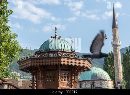 Sebilj fontana e Havadze Duraka moschea del sulla piazza principale di Bascarsija storico distretto di Sarajevo, Bosnia ed Erzegovina Foto Stock