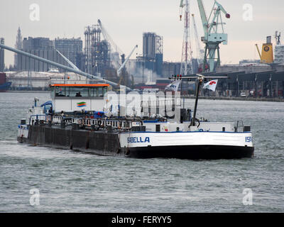 Isabella (nave, 2008), l'ENI 02330132, porto di Anversa pic8 Foto Stock