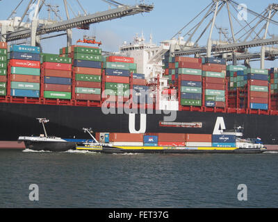 Matthinge (nave, 2011) ENI 02333789 porto di Rotterdam pic Foto Stock