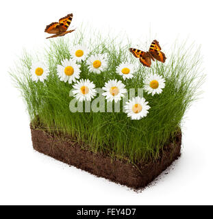 Un po' di estate, isolato su uno sfondo bianco. Foto Stock