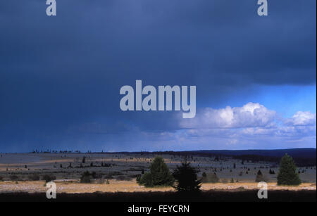 BEL, Belgio, ad alta moor Hohes Venn, tempesta nuvole BEL, Belgien, Hochmoor Hohes Venn, Gewitterwolken Foto Stock