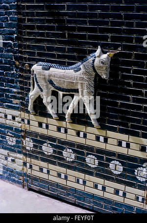 AA 6828. Archiviazione degli anni sessanta, Babilonia rovine, Iraq Foto Stock