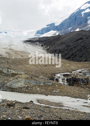 Vista dell'Athabasca Glacer lungo la Icefields Parkway, Jasper National Park, Alberta, Canada, su un nuvoloso giorno. Foto Stock