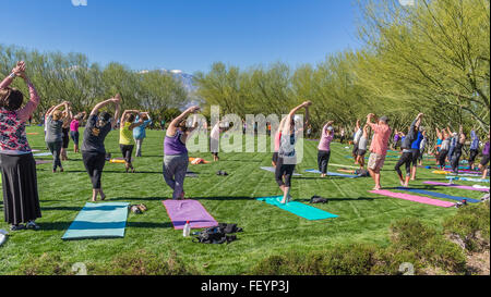 Un grande gruppo di uomini e donne di tutte le età passa attraverso le loro pone sul prato di un outdoor yoga classe al centro Sunnylands. Foto Stock