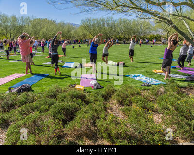 Un grande gruppo di uomini e donne di tutte le età passa attraverso le loro pone sul prato di un outdoor yoga classe al centro Sunnylands. Foto Stock