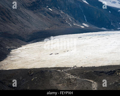 Il turista a godere di una vista dell'Athabasca Glacer lungo la Icefields Parkway, Jasper National Park, Alberta, Canada, su un nuvoloso giorno Foto Stock