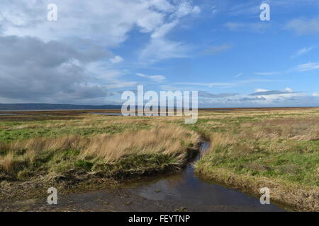 Vista da Parkgate sul Wirral Peninsular guardando attraverso le Dee estuario verso il Galles del Nord. Foto Stock