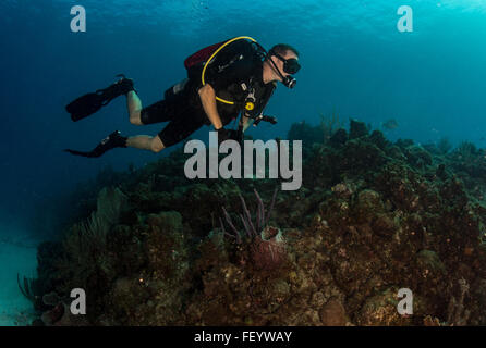 Il cap. David Culpepper, Comandante, stazione navale di Guantánamo Bay a Cuba, indagini di un sano reef al largo della Baia di Guantanamo, nov. 23, 2015. Sarà lui a confrontare la sua esperienza con immersioni su più facilmente accessibili le scogliere al fine di valutare i possibili effetti della subacquea ricreativa sull'ecosistema. (U.S. Navy combattere la foto della telecamera tramite la comunicazione di massa Specialist 1a classe Charles E. Bianco/RILASCIATO) Foto Stock