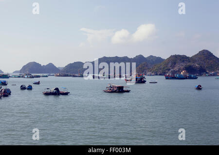 Barche da pesca e delle case intorno Cat Ba Island, Vietnam. Foto Stock