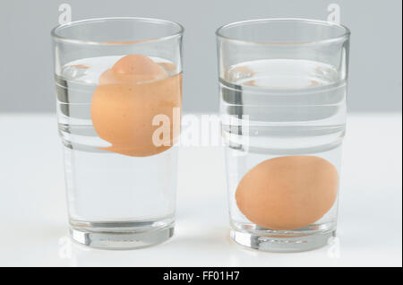 Due uova in due bicchieri di acqua, uno vicino a galleggiante sulla superficie Foto Stock