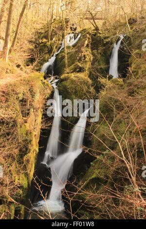 Bella cascata vicino a Ambleside nel distretto del lago con verde soleggiata in background Foto Stock