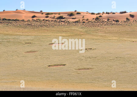 Cerchi di fata vicino a Sesriem sul modo di Sossusvlei, Namibia Foto Stock