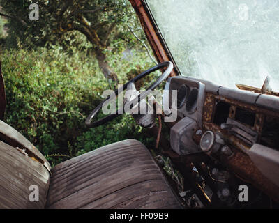 Gli interni decadenti di un'automobile abbandonata, che mostrano un cruscotto usurato, parabrezza incrinato e volante arrugginito. I dettagli del tempo evocano un senso di utilizzo passato e viaggi dimenticati. Foto Stock