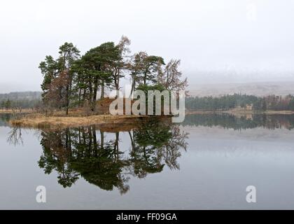 I riflessi della nebbia copriva monte Nero e caledonia pini su una piccola isola sul loch Tulla, Argyll Foto Stock