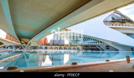 7 Novembre, 2013, Valencia, Spagna. L'Opera house a Palau de les Arts Reina Sofia, 3 mesi prima del suo rinnovo esterno Foto Stock