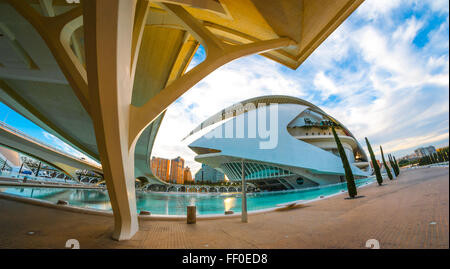 7 Novembre, 2013, Valencia, Spagna. L'Opera house a Palau de les Arts Reina Sofia, 3 mesi prima del suo rinnovo esterno Foto Stock