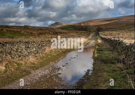 Long Lane e Pen-y-Ghent in Ribblesdale Yorkshire Foto Stock