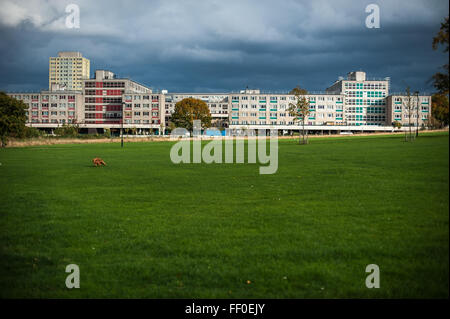 Nuvole temporalesche raccolta su Broadwater Abitazioni station wagon, Tottenham, Londra Foto Stock
