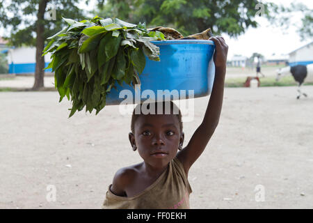 Capretto in Kiwanja, Rutshuru, Nord Kivu, nella Repubblica democratica del Congo, LA REPUBBLICA DEMOCRATICA DEL CONGO,Africa centrale Foto Stock