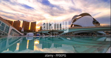 7 Novembre, 2013, Valencia, Spagna. L'Opera house a Palau de les Arts Reina Sofia, 3 mesi prima del suo rinnovo esterno Foto Stock