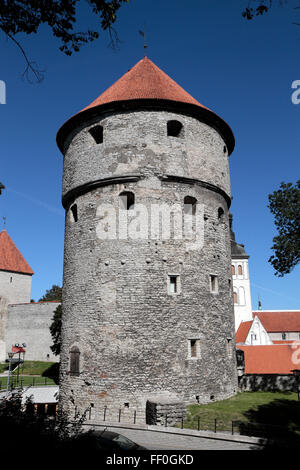 Il Kiek in de Kök torre (peep in cucina torre) a Tallinn in Estonia. Foto Stock