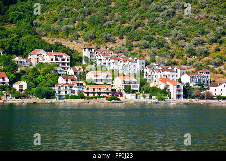 Baia di Kotor,costa dalmata linea,pendici boscose,acque calme,popolare area di crociera,destinazioni turistiche,deliziosi paesini,adriatico,MONTENEGRO Foto Stock